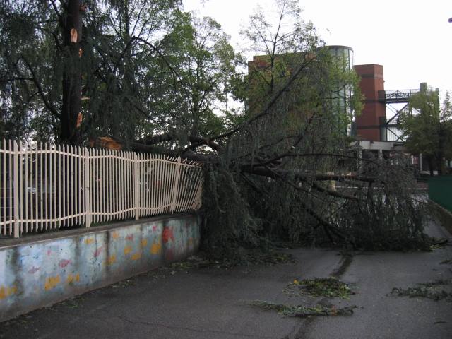 Effetti tromba d'aria del 30 agosto 2007